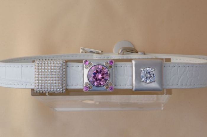Ritani Debuts Luxurious Pet Jewelry Featuring a $34,000 Lab-Grown Diamond Dog Collar