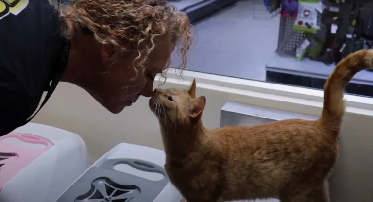 Unbelievable Secrets Revealed: Pet Expert Unveils Mind-blowing Cat Care Hacks You Won’t Believe Exist!